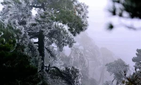孙子打奶奶犯法吗-优质问答网站,疑难问题轻松解答