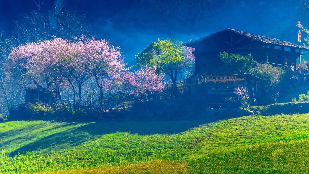 高能英雄克莉奥技能介绍